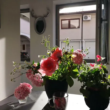 Rimona Apartment *